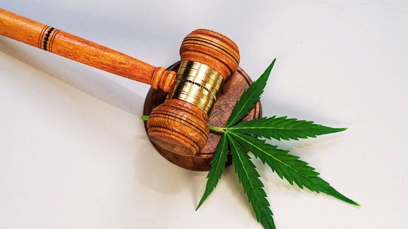 Gavel and hemp leaf showing legality of Delta 8